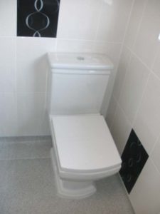 Toilet Installation